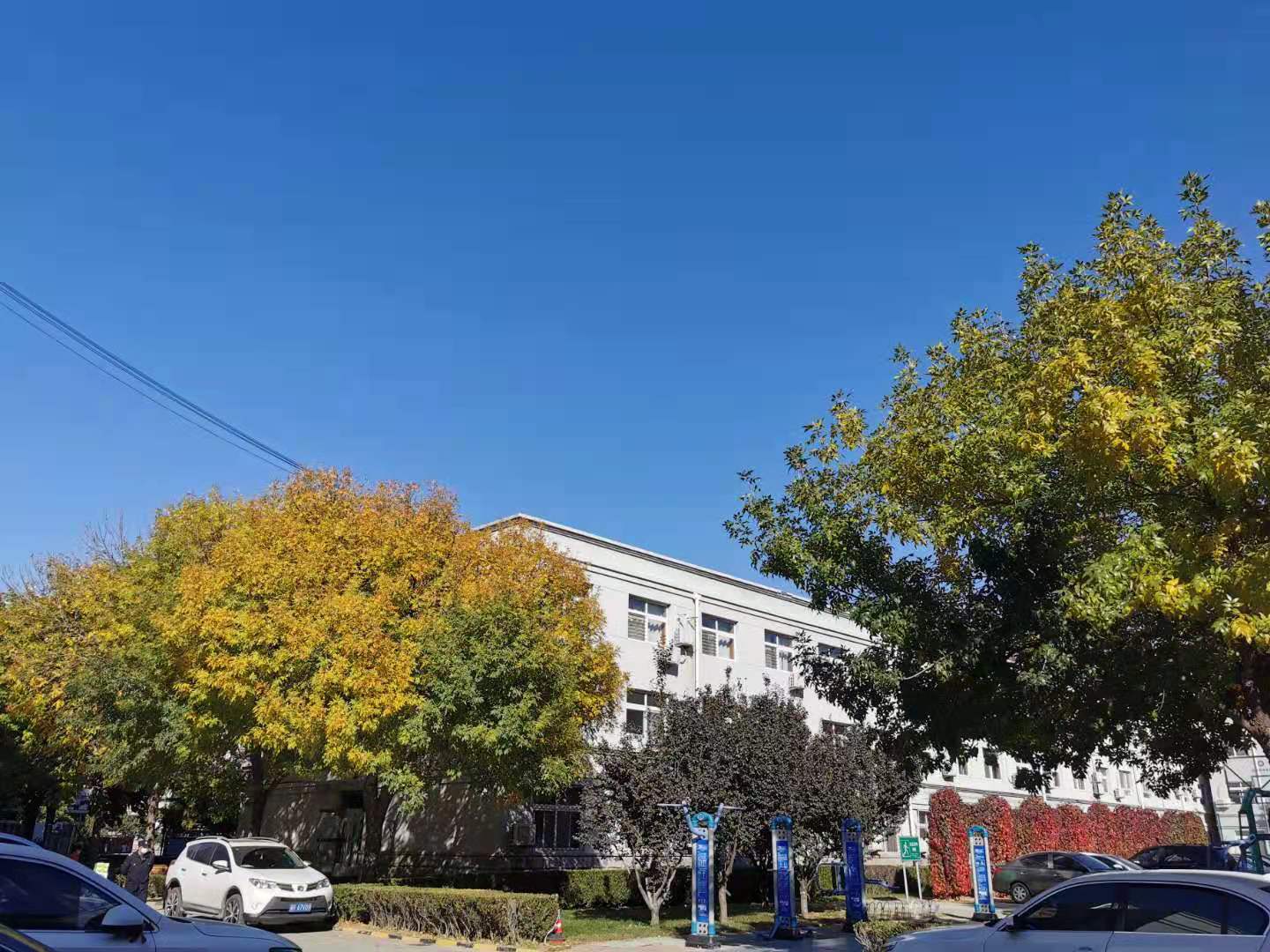 秋天的京东long8国际医院